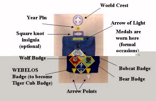 Graphic from template - front left side (with several program year pins)