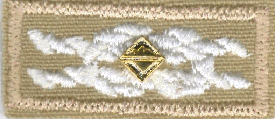 Old Scoutmasters' Award of Merit knot emblem with device