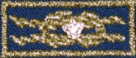 Unit Leader Award of Merit knot emblem with device